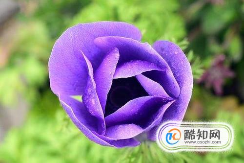 ��ɫ��ʲô��ɫ����